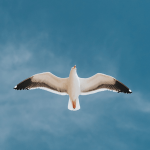 اعتماد به نفس چیست؟ و چطور افزایش می‌یابد؟